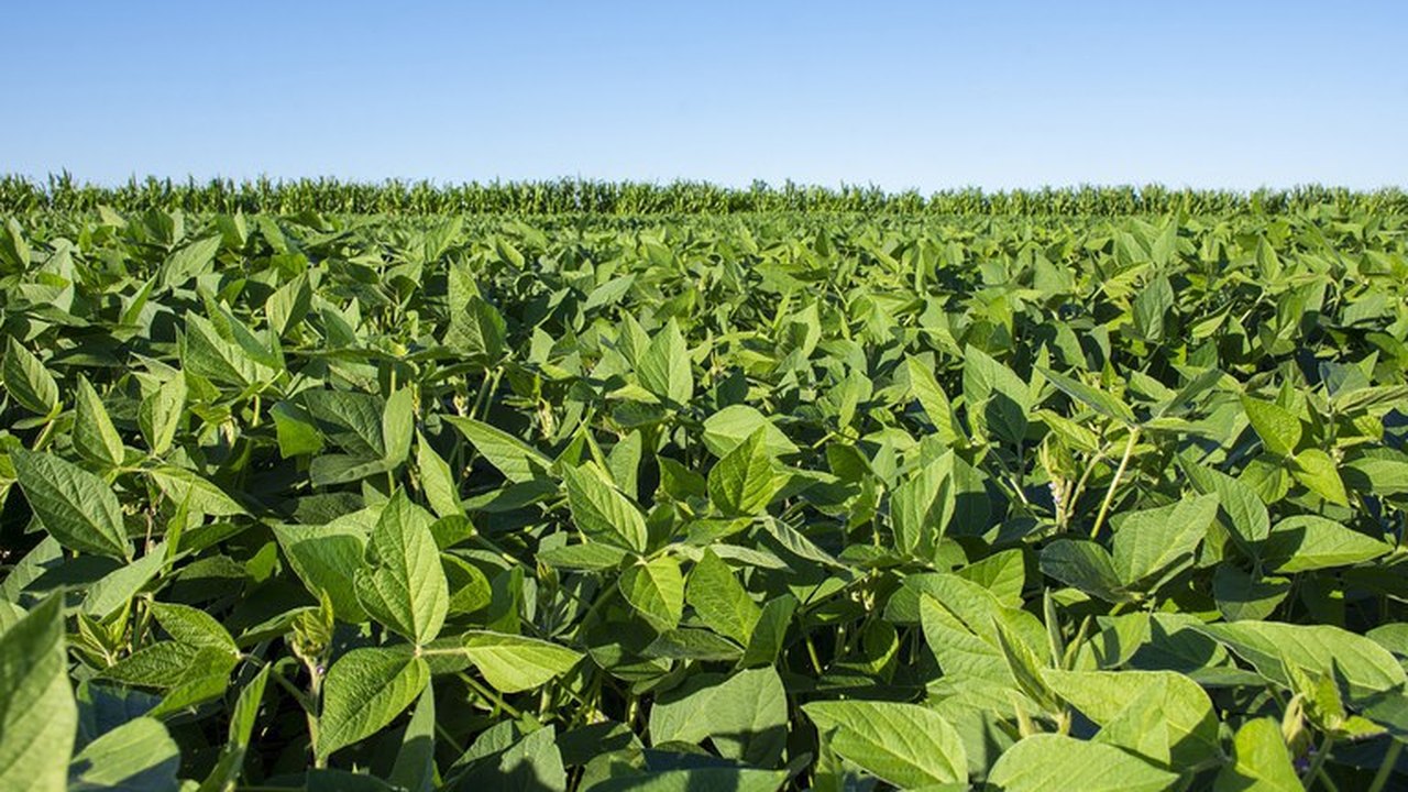 Agricultura será o tema da reunião da AMA na segunda-feira