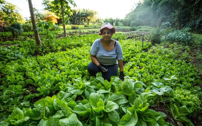 Sessão especial debate benefícios da agroecologia em Alagoas