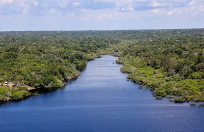 Dia da Amazônia: MIDR impulsiona conservação e crescimento do bioma amazônico