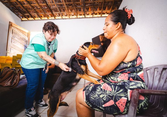 Prefeitura de Maceió garante atendimento veterinário a quem mais precisa