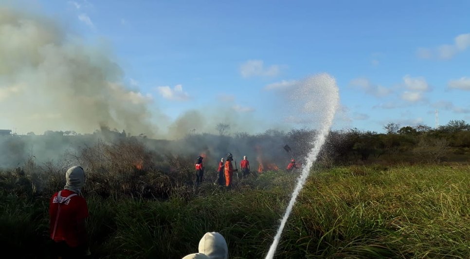 Incêndio na vegetação / Foto: Corpo de Bombeiros