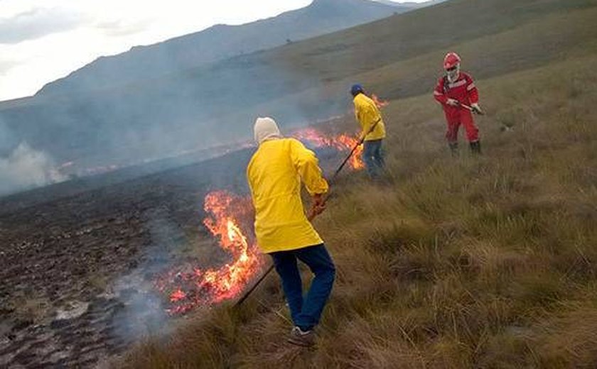 Lei institui Política de Manejo Integrado do Fogo para combater queimadas