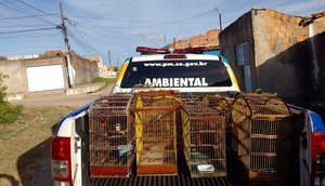 Mais de 50 aves silvestres mantidas em cativeiro são apreendidas em Sergipe / Foto: Foto: Polícia Militar/SE