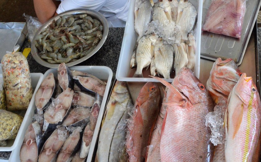 Vigilância Sanitária Estadual orienta sobre o que observar na compra do pescado