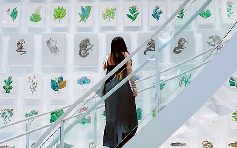 Rumos Itaú Cultural está com inscrições abertas até setembro