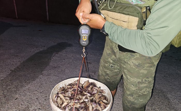 Grupo de cinco pessoas faziam a pesca predatória do caranguejo-uçá, mas apenas dois suspeitos foram presos