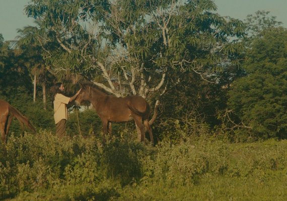 Mago Véio transforma saudade em arte no videoclipe “Toada a Galope”