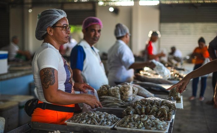 Pescados são perecíveis e população deve observar a qualidade dos produtos