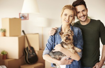 HDI Seguros apresenta assistência para pets