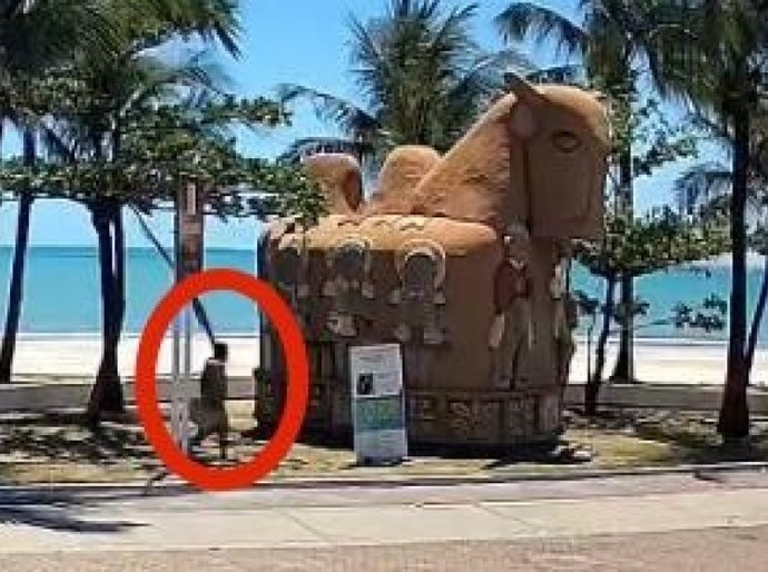 Segurança Cidadã divulga imagens do suspeito de atear fogo na escultura “O Boi”, no Jaraguá