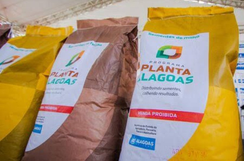 Governador Paulo Dantas lançará o programa Planta Alagoas 2025 em Palmeira dos Índios