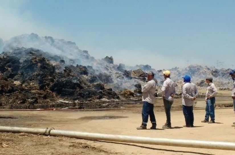 Equipe do IMA interdita central de distribuição da Granbio