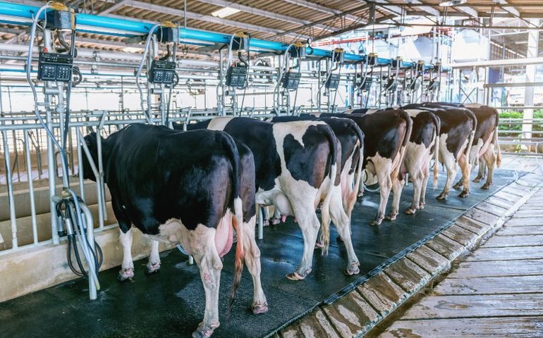 Comissão debate situação dos produtores de leite no Sudoeste baiano