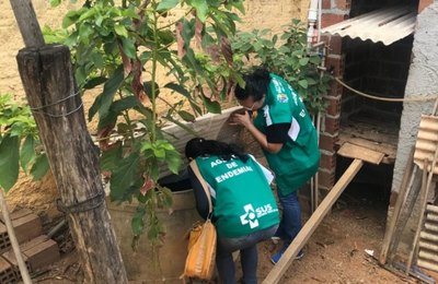 Secretaria de Saúde de Palmeira realiza mutirão contra a dengue no bairro Palmeira de Fora