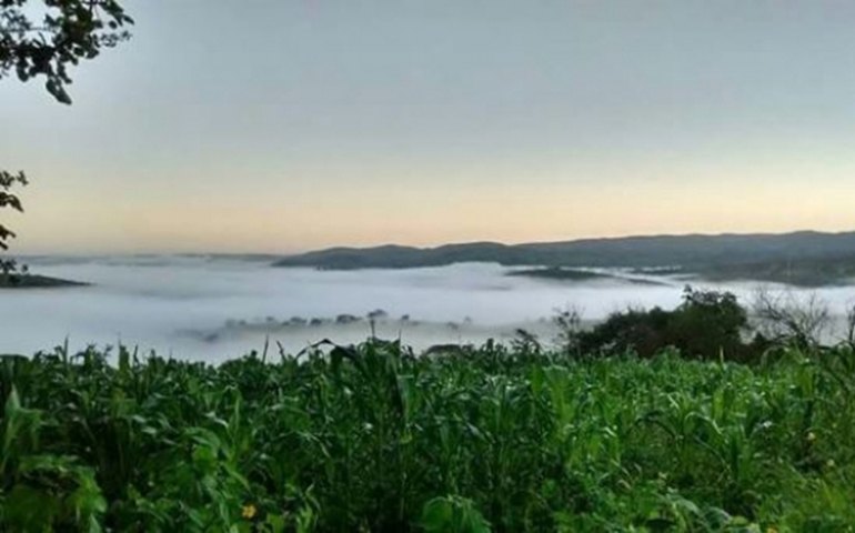 Municípios alagoanos registram baixa temperatura nesta sexta (14)