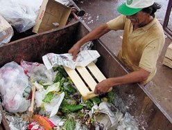 Alimentos vão parar no lixo