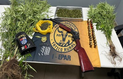 Polícia prende homem com plantação de maconha e arma de fogo em Palmeira