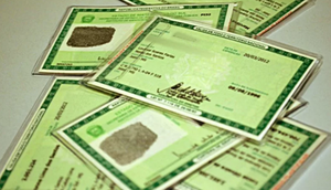 Screenshot_5 / Foto: Reprodução
