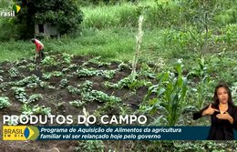 Programa de Aquisição de Alimentos é relançado pelo governo