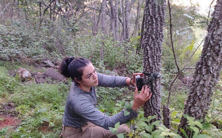 IMA apoia pesquisa sobre monitoramento da fauna silvestre em Serra do Craunã