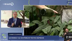 Governo vai distribuir testes rápidos para diagnóstico da dengue