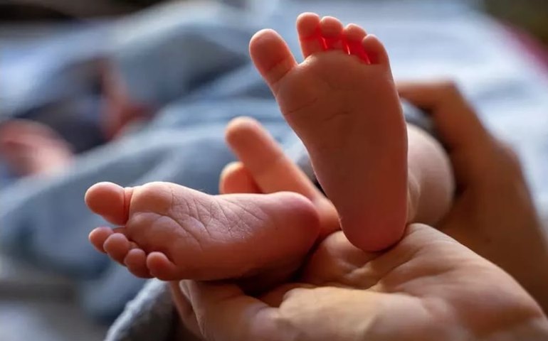 Helena e Miguel lideram registros de nomes em 2024 nos cartórios