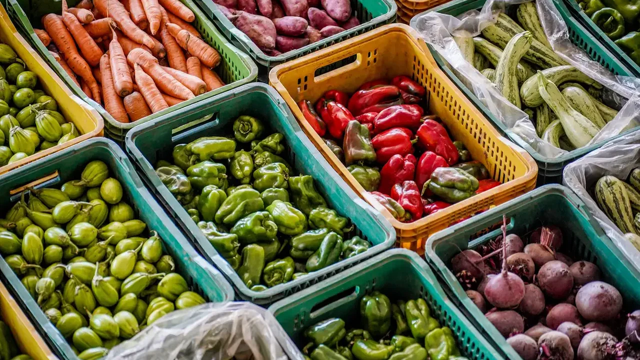 Consea, Caisan e Seades unem esforços no Dia Mundial da Alimentação