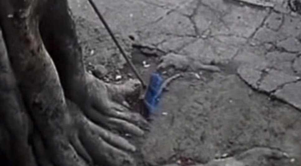 WhatsApp Image 2026-04-09 at 09.49.39