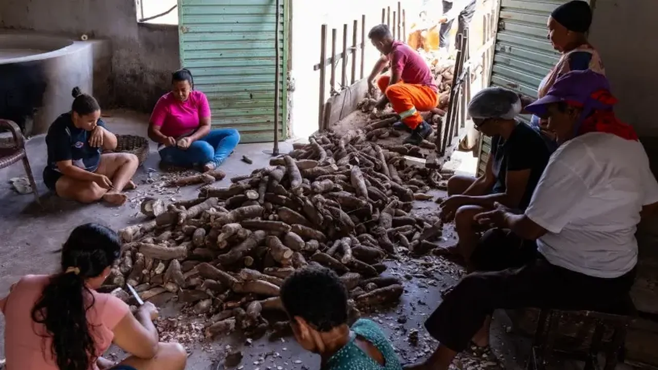 Orientação técnica busca preparar produtores rurais de Alagoas para impactos climáticos do El Niño