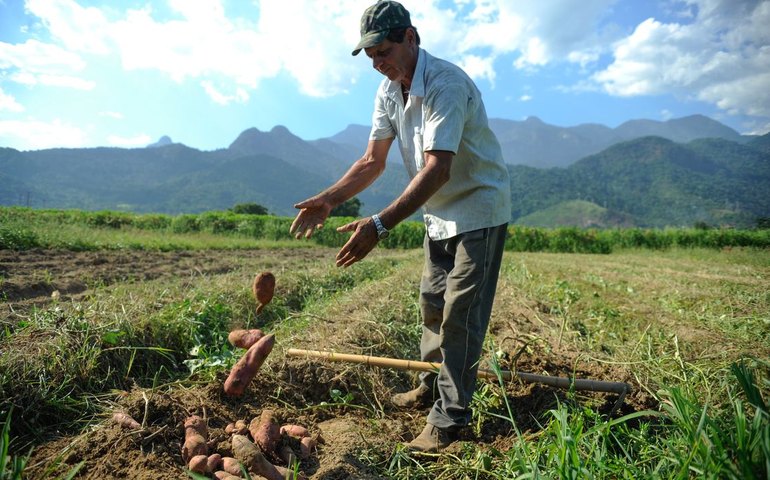 BNDES vai liberar R$ 12 bi para produtores rurais com perdas de safra