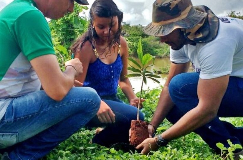 Hortas de plantas medicinais são implantadas pela Seagri/AL no Sertão