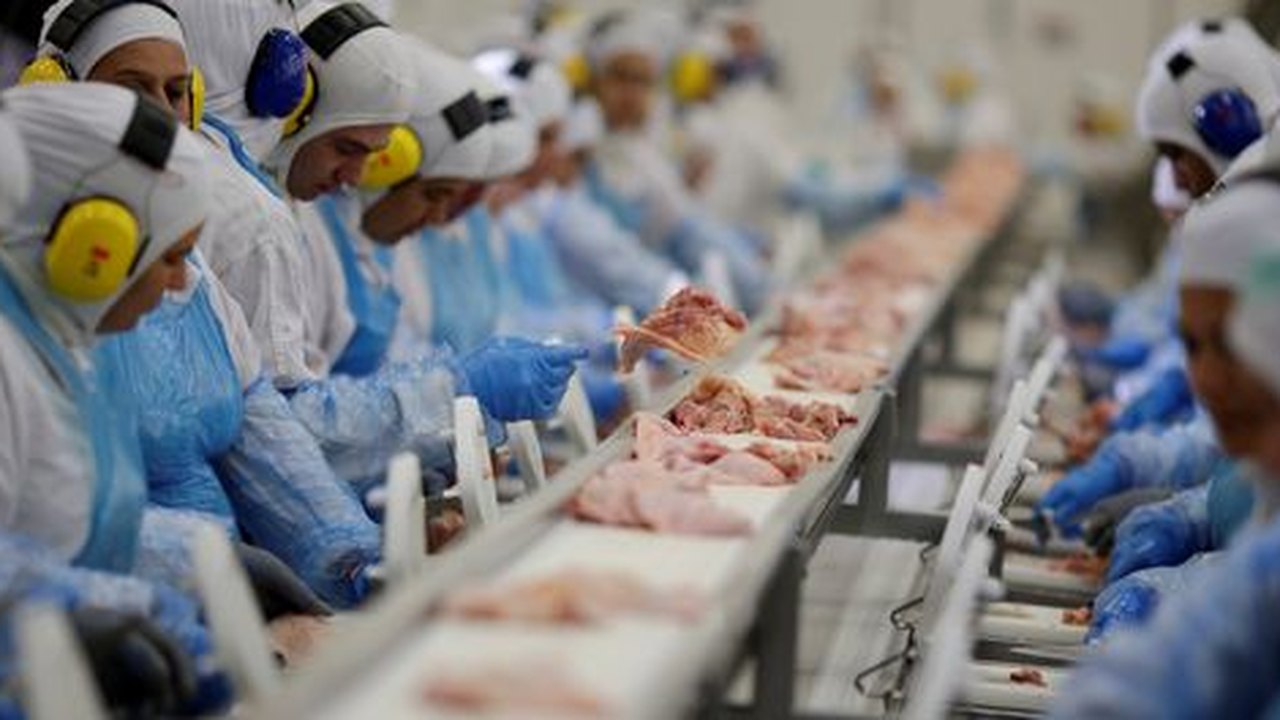 UE e 14 países suspendem temporariamente importação de carne brasileira