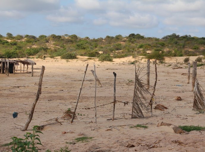 Com mais de 90% do território suscetível à desertificação, Pernambuco recebe seminários sobre o tema a partir de 23 de março