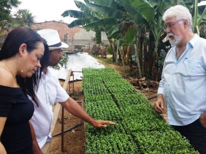 Sedetur estuda implantar placas fotovoltáicas em propriedade de agricultura familiar