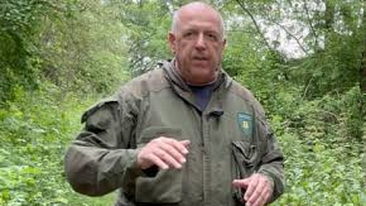 Candidato de extrema direita é atacado a facadas na Alemanha, anuncia AfD