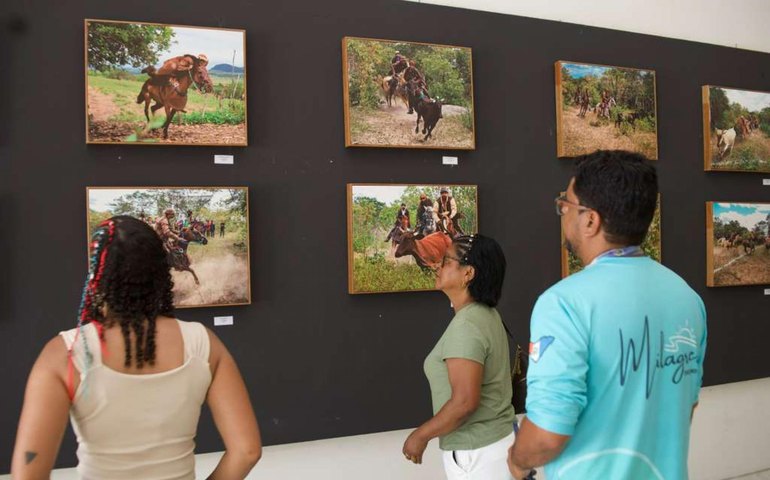 Últimos dias para conferir a exposição “Pega de Boi no Mato” no Museu Palácio Floriano Peixoto