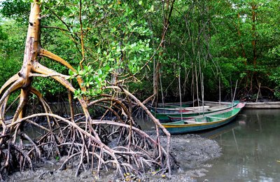Alagoas alcança a marca histórica de 100 Unidades de Conservação