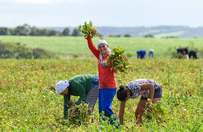 Projeto Maná 2026 amplia alcance e transforma a realidade de mais de 1.200 famílias do campo em Coruripe