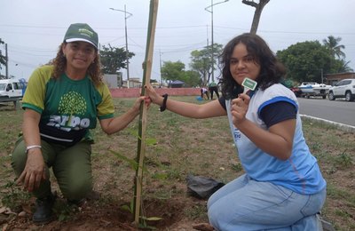 Canteiro do Dique Estrada recebe plantio de árvores de grande porte