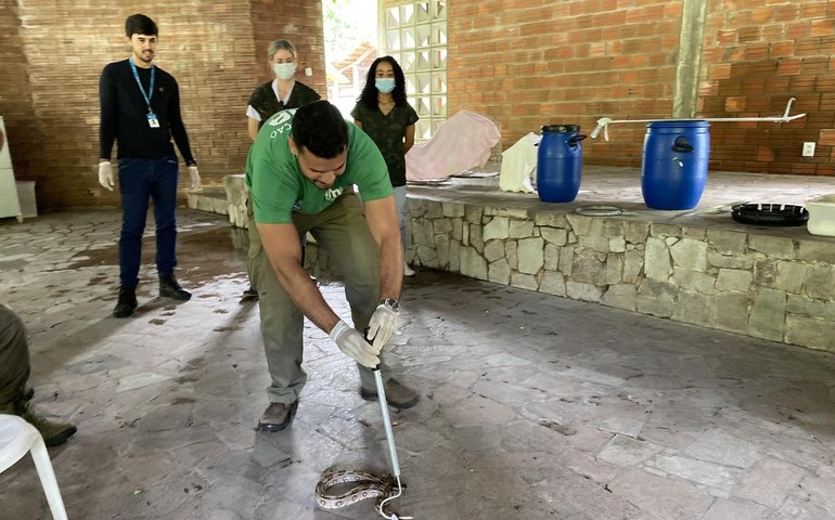 Técnicos do IMA participam de capacitação para manejo de animais silvestres