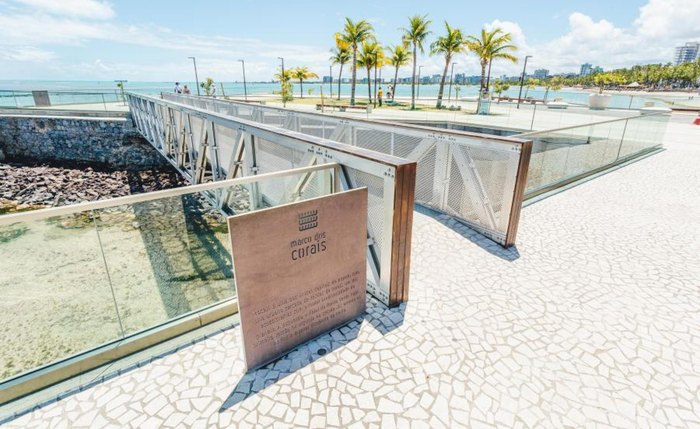 Árvore será atração do Marco dos Corais