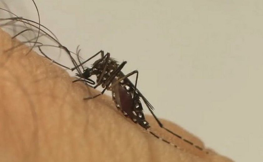 Distrito Federal decreta estado de emergência após novos casos de dengue