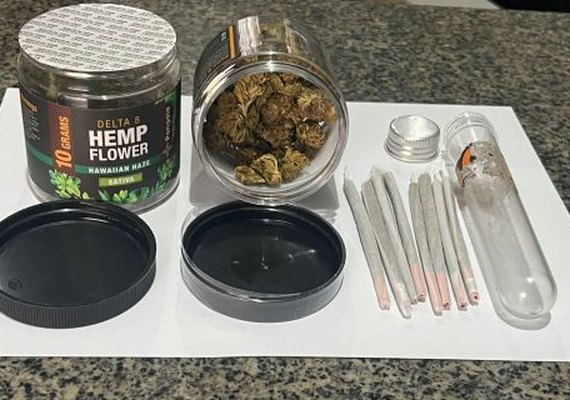 Jovem é flagrado com 20 gramas de maconha em ônibus na BR 101 em São Sebastião