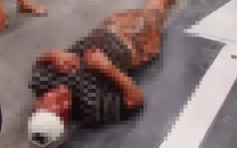 Cliente de 51 anos é espancado com 'soco inglês' na Serraria; vigilante foge