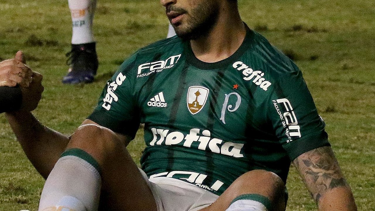 Palmeiras se isola como time que mais ganhou brasileiros; após unificação, está empatado com o Flamengo