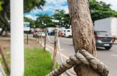 Espaços revitalizados em Maceió sofrem danos por ações de vandalismo