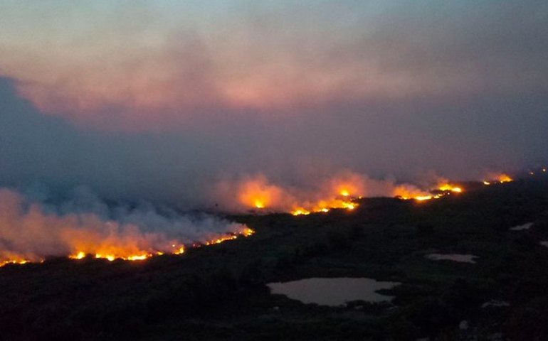 Governo de MT diz ter indiciado neste ano 112 pessoas por fogo em florestas