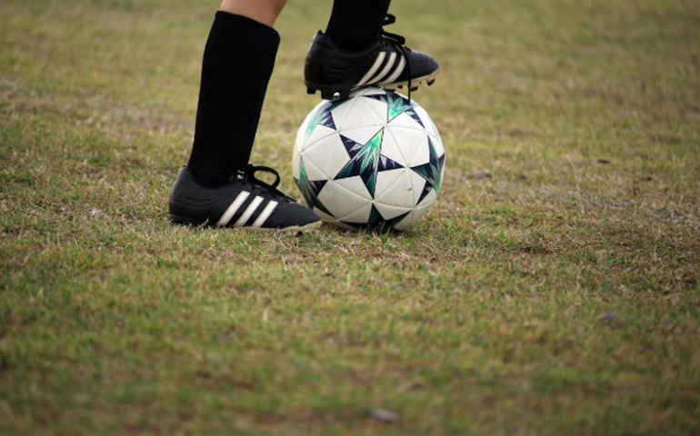 Copa do Brasil e suas zebras históricas