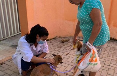 Meu Amigo Pet inicia castração de animais em abandono resgatados pelas protetoras