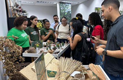 Herbário do IMA encerra programação com destaque para educação científica e representatividade feminina